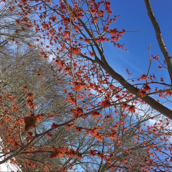 Meet your Posher, Susan - Picture 2 of 5